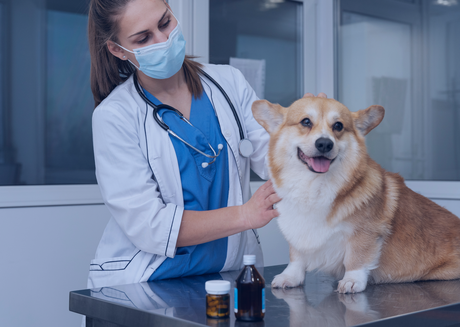 Veterinary